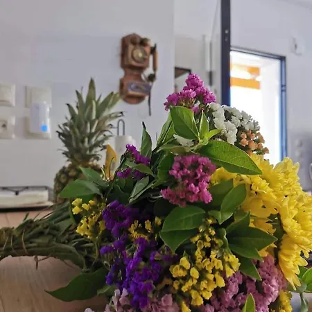 Blue View Zefiros * Родос