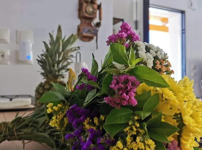 Blue View Zefiros * Rhodes City